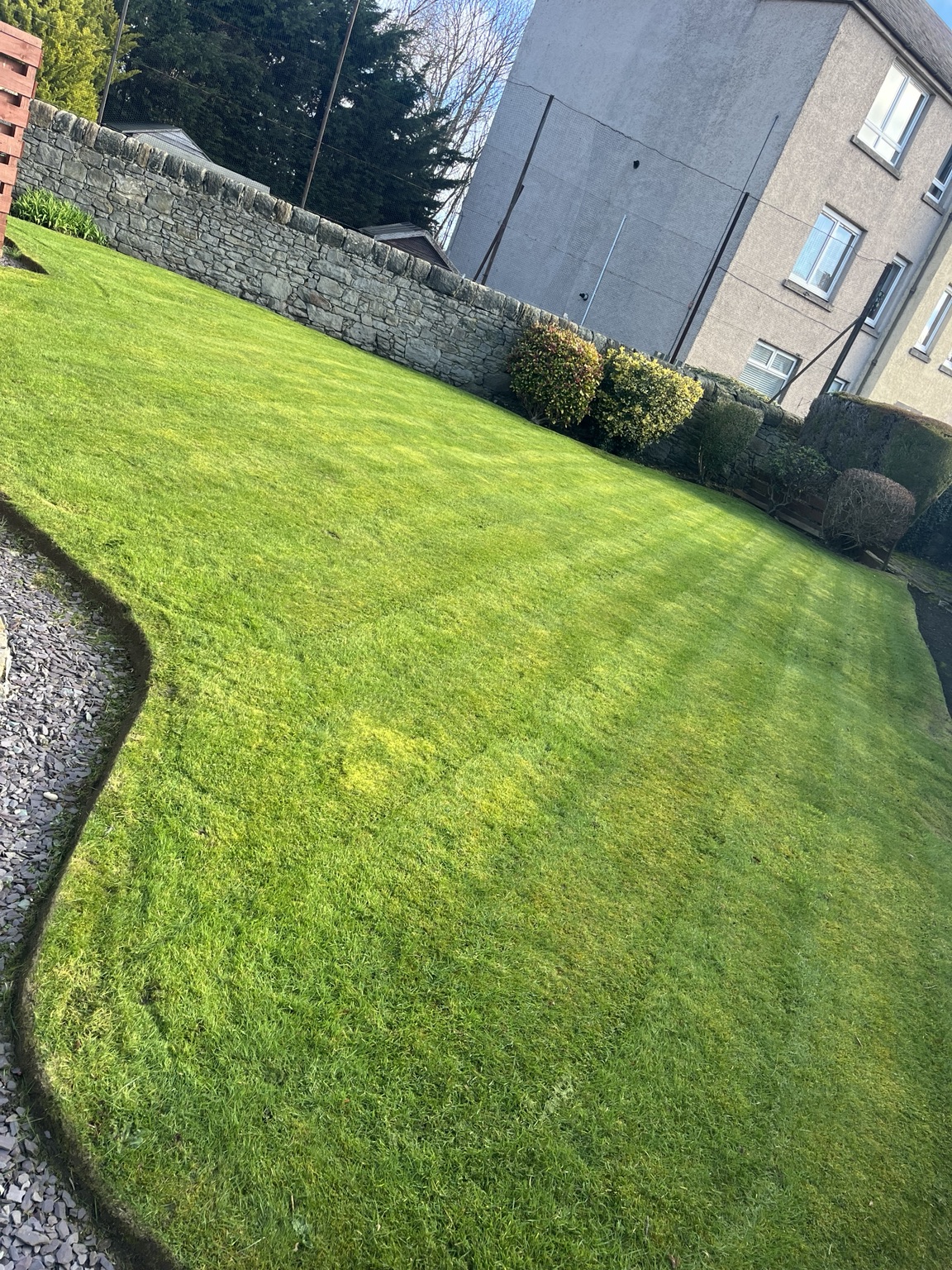 Freshly maintained lawn with neat curved borders, photographed by AJ Garden Care